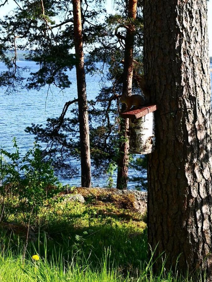 Club House Hotelli Kaipolan Ranta Jamsa Exterior foto
